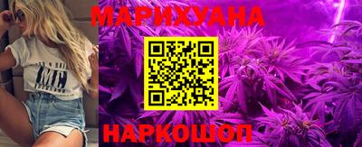 apvp Краснодар