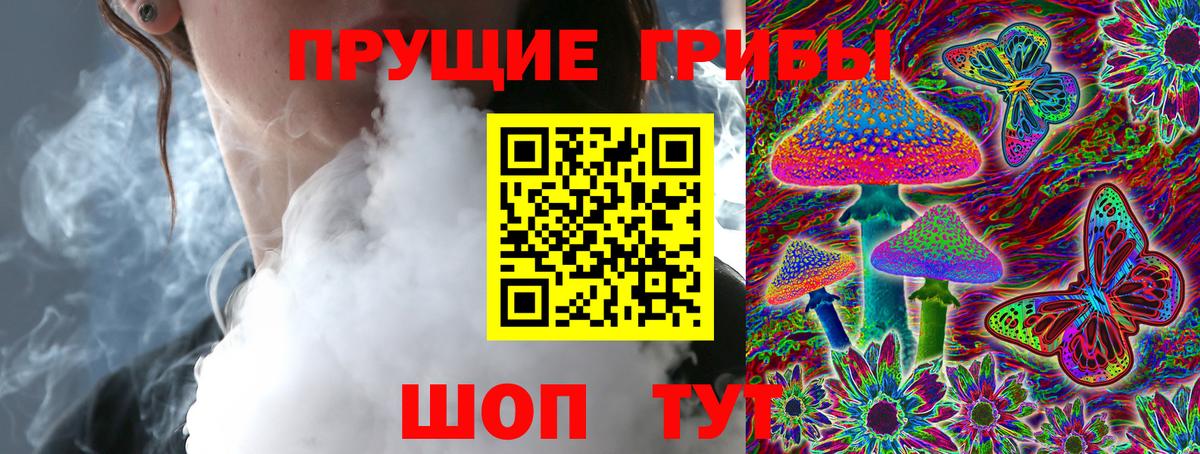 Галлюциногенные грибы Psilocybe  Вход с VPN  хочу   Будённовск 