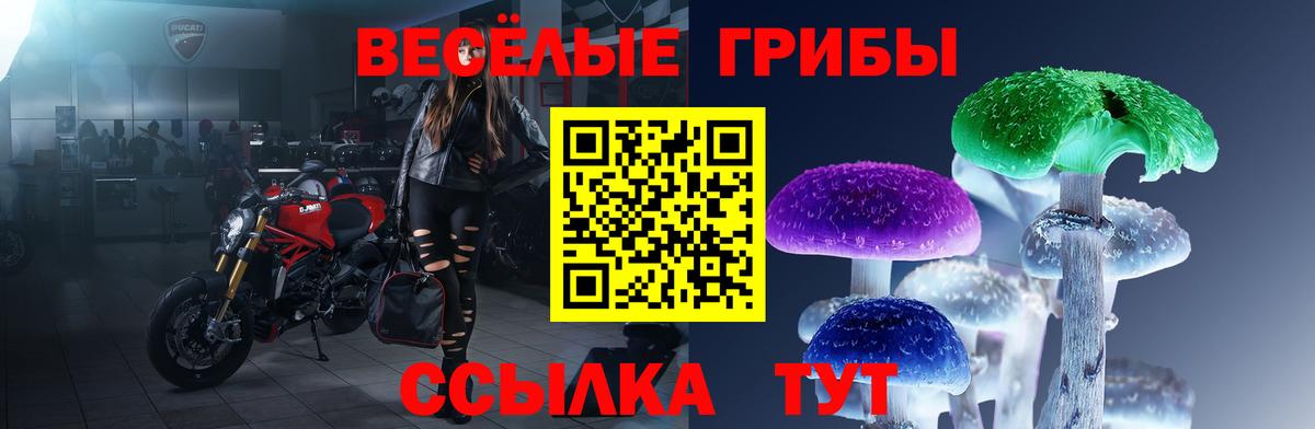 Галлюциногенные грибы ЛСД Будённовск